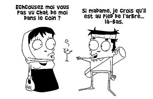 Le petit chat roumain 03