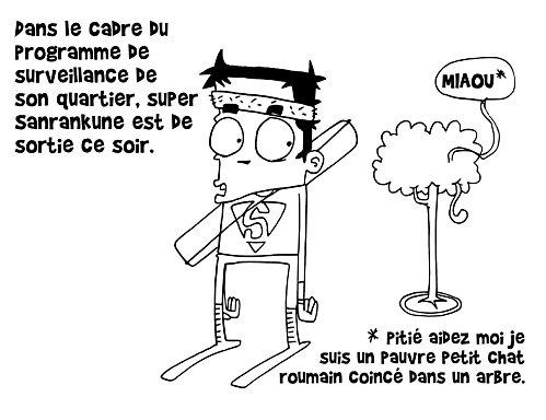 Le petit chat roumain 01