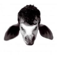 Exposition des  ateliers de photographie  de St Cyprien | Espace St Cyprien | Toulouse