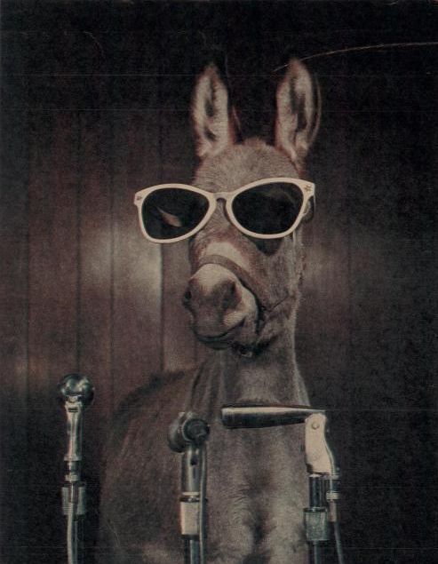 iloveoldmagazines:  Boys’ Life Mar 1965 