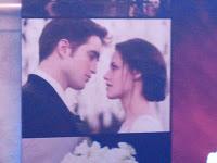 Découvrez le gâteau du mariage de Bella et Edward