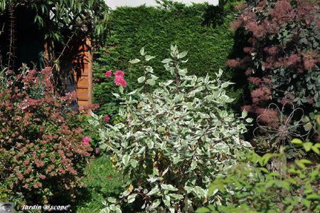 Mon-jardin-en-octobre