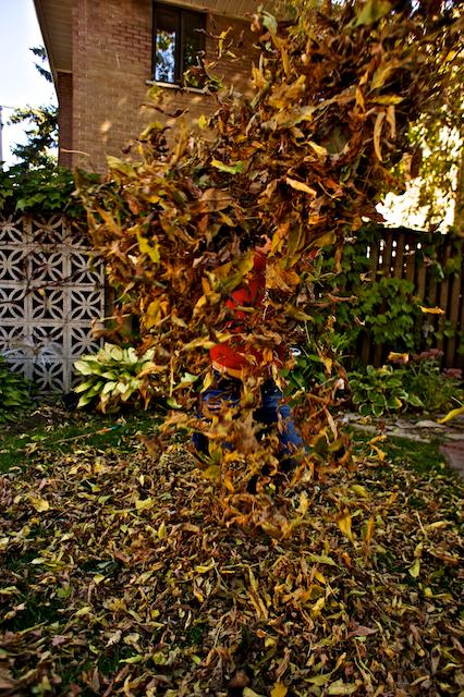 Un lundi parmi tant d'autres #49