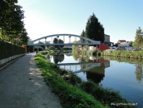 Une longue marche apaisante le long de la Marque.