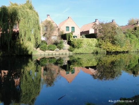 Une longue marche apaisante le long de la Marque.