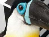 venir novembre décembre