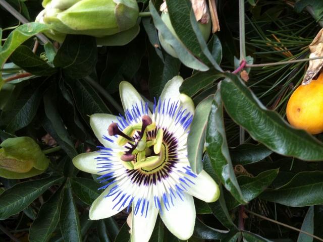  365 / one day, one pix, #09