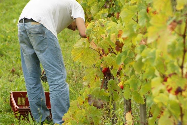 DSC02274 365 / one day, one pix, #09