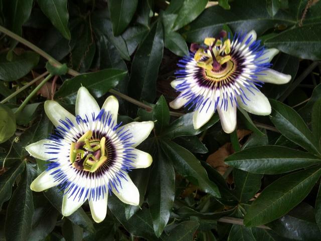  365 / one day, one pix, #09