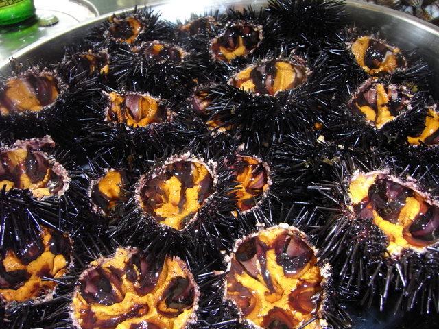  365 / one day, one pix, #09