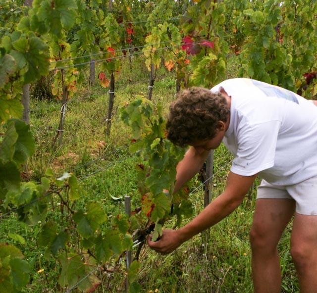 DSC02260 365 / one day, one pix, #09