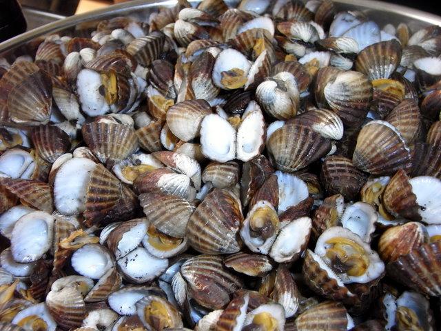  365 / one day, one pix, #09