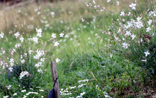  365 / one day, one pix, #09