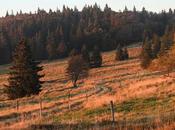 Route crêtes- coucher soleil Gazon Martin