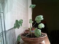 je t'en suppplie dis-moi...