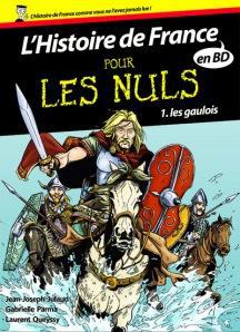 histoireDeFrancePourLesNuls1 L'Histoire de France pour les Nuls - tome 1 : Les Gaulois