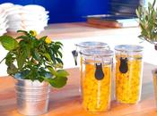 afternoon Paris Casa Barilla