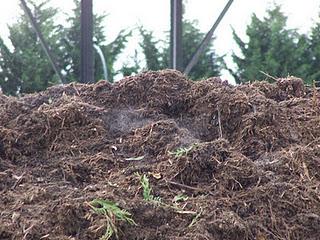 Plateforme de broyage des déchets verts