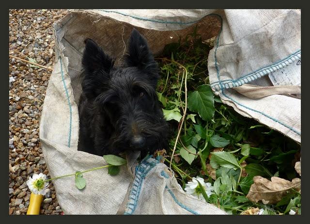Je m'oblige à une Pause après l'hospitalisation brutale d...