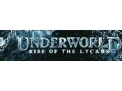 [blu-ray] Challenge Vampires n°10 Underworld
