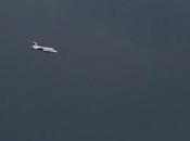 Étang Pierre-la-Treiche faune