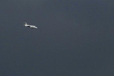 Étang de Pierre-la-Treiche : la faune