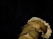 Metin Arditi reçoit prix Jean-Giono