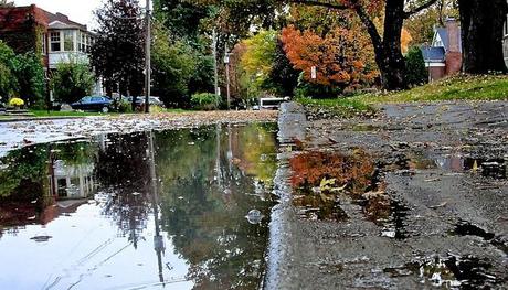 L'automne est au rendez-vous sur la page de mon blog DSC04826