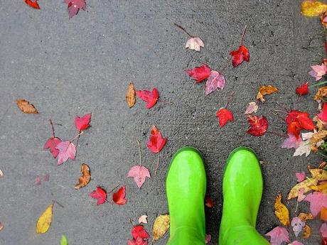 L'automne est au rendez-vous sur la page de mon blog DSC04875