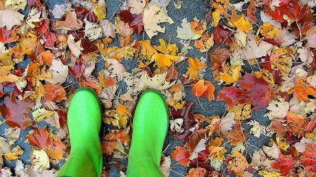 L'automne est au rendez-vous sur la page de mon blog DSC04845