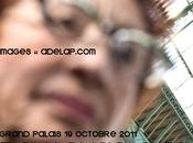 Grande Foire Grand Palais, Fiac 2011