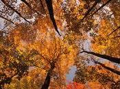 semaine marquée l’attentisme….