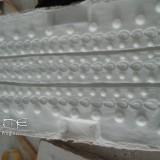 Ikki du Phénix (Tsume)