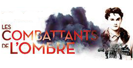 combattants_de_l_ombre_arte
