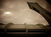 garçon loup soeur canard...