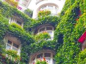 afternoon Paris Plaza Athénée Patrimoine Vivant