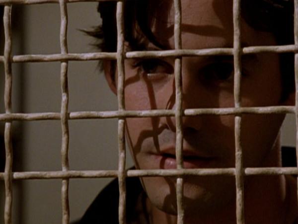 The Pack-Buffy 106