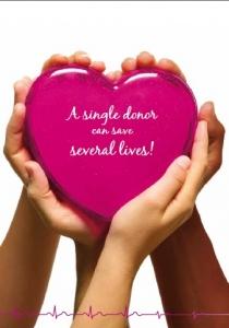 Journée européenne du DON d’ORGANES: 50.000 personnes en attente de greffes – European Day for Organ Donation & Transplantation