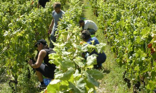 Est-il intéressant de créer un groupe interne d'anciens salariés ?