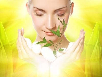 Prestations-maladie de thé vert