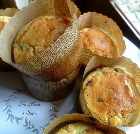 Muffins praliné choco 2
