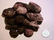 Chuño, ingéniosité Ancestral