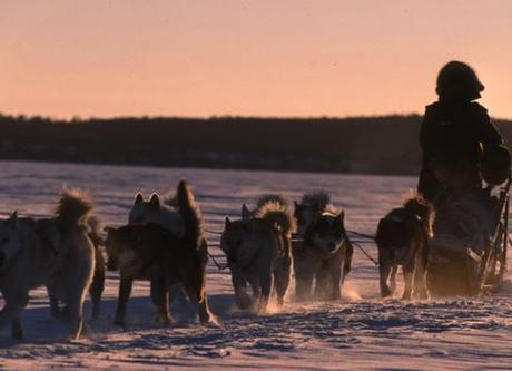 Le livre du week-end : Nicolas Vanier La passion du Grand Nord