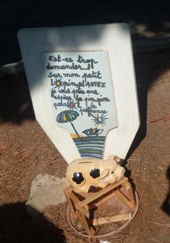 SETE 250911 363 (1632 x 1224).jpg