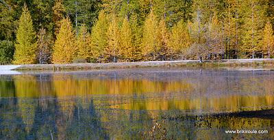 Souliers, des lacets...