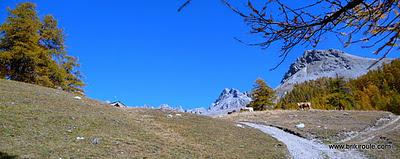 Souliers, des lacets...