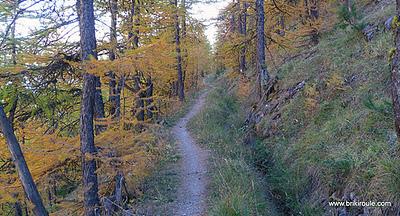 Souliers, des lacets...