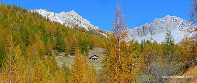 Souliers, des lacets...