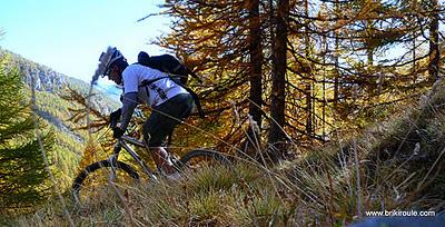 Souliers, des lacets...