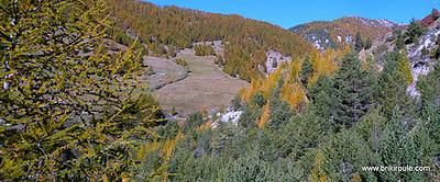 Souliers, des lacets...